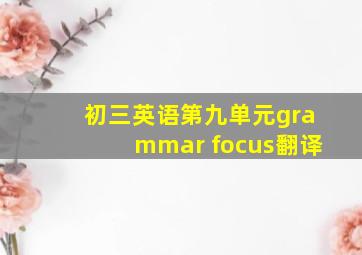 初三英语第九单元grammar focus翻译